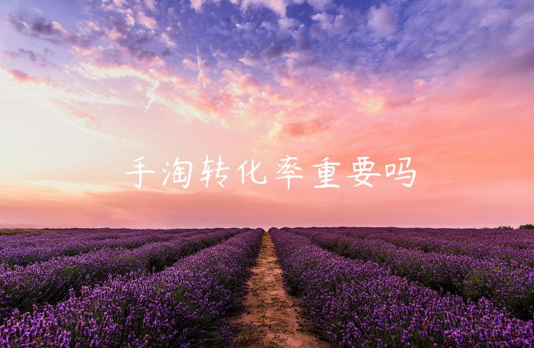 手淘轉(zhuǎn)化率重要嗎